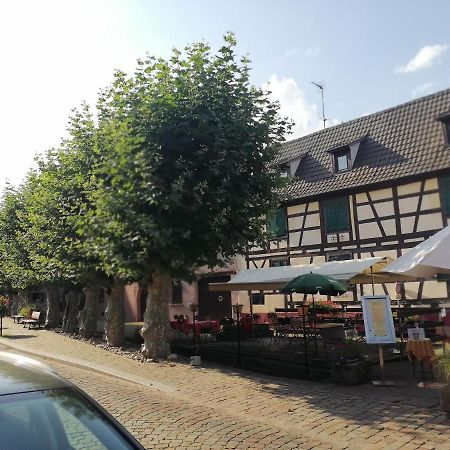 Gites Aux Fines Bulles D'Alsace Spa Privatif En Supplement Bergheim Exterior foto